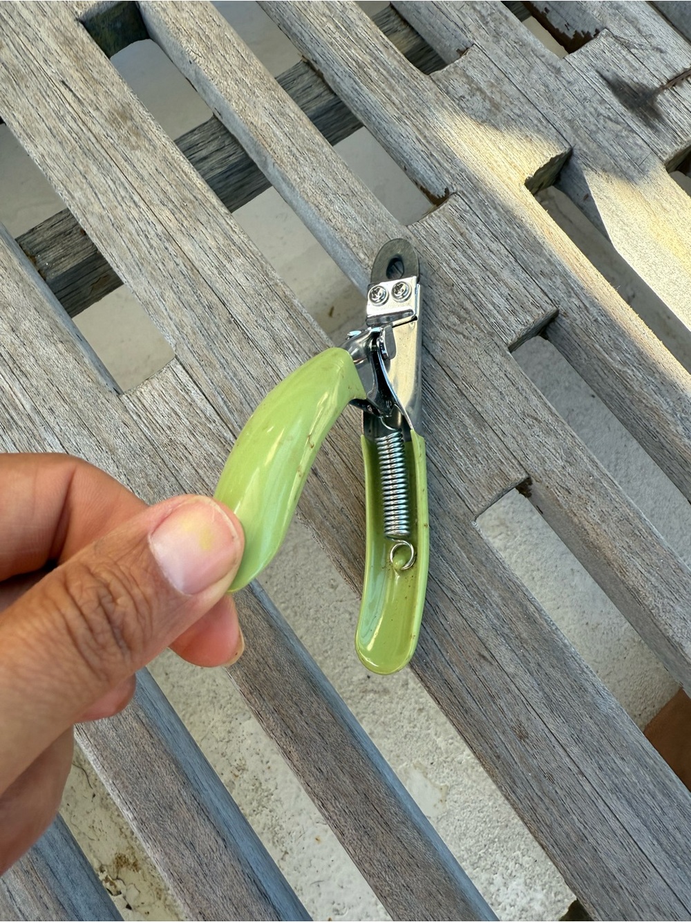 Green Dog Nail Clippers with Non-Slip Handles